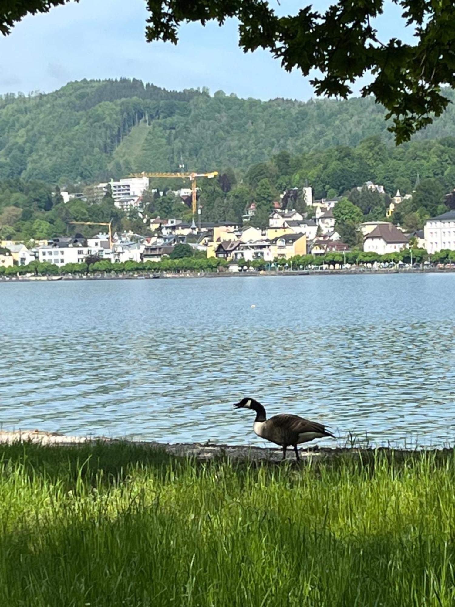 Altstadtjuwel In Gmunden Am Traunsee Exteriör bild