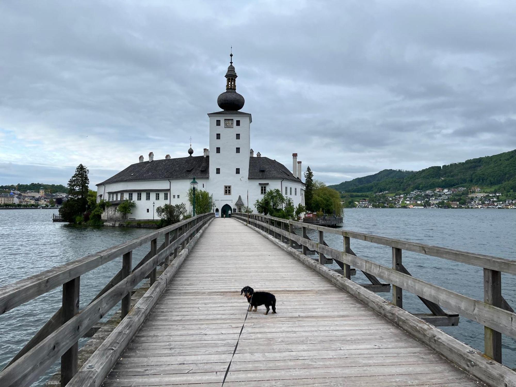 Altstadtjuwel In Gmunden Am Traunsee Exteriör bild