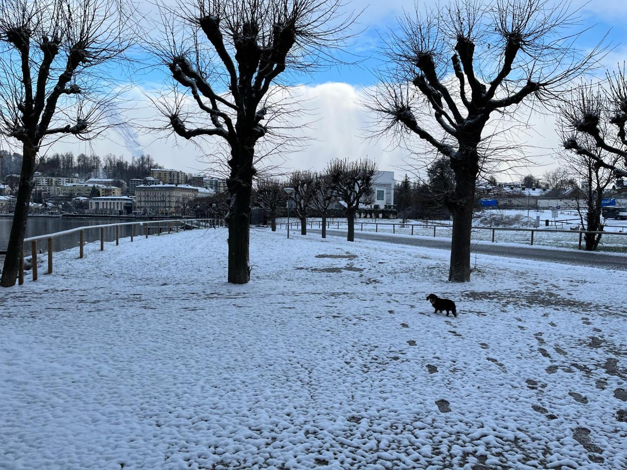 Altstadtjuwel In Gmunden Am Traunsee Exteriör bild